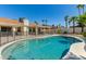 Enjoy the refreshing pool surrounded by palm trees in this backyard oasis at 10029 S 44Th St, Phoenix, AZ 85044