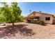 Wide backyard with stone landscaping, mature tree shading, covered patio, and lovely home exterior with patio access at 1379 E Butler Cir, Chandler, AZ 85225