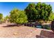 Spacious backyard featuring stone landscaping, a tree-shaded area, and waterfront access with a private dock at 1379 E Butler Cir, Chandler, AZ 85225