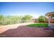 Backyard with a grass area, mature landscaping, and a fence surrounding the property at 19961 N Coyote Lakes Pkwy, Surprise, AZ 85378
