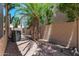 Side yard features a palm tree, AC unit, gravel beds, and a fence at 2461 E Stephens Pl, Chandler, AZ 85225