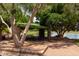 Picnic shelter with tables and grill overlooking the pond and golf course, providing scenic outdoor dining at 2547 W Naranja Ave, Mesa, AZ 85202