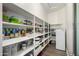 Walk-in pantry featuring generous shelving, a mini refrigerator and hardwood floors at 26314 N 103Rd Dr, Peoria, AZ 85383