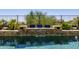 Gorgeous pool with cascading water feature, decorative tile wall, and lush landscaping providing a serene oasis at 26314 N 103Rd Dr, Peoria, AZ 85383