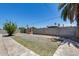 Large backyard offers block wall, mature palm trees, and great sunlight at 3807 N 56Th Dr, Phoenix, AZ 85031