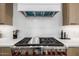 Close-up of professional range and modern vent hood in this luxury home kitchen at 4813 E Earll Dr, Phoenix, AZ 85018