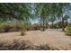 Expansive backyard featuring mature trees, desert landscaping, and a sparkling pool at 6101 E Beck Ln, Scottsdale, AZ 85254