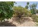 Backyard with trees, desert landscaping, and plenty of space for outdoor activities at 6101 E Beck Ln, Scottsdale, AZ 85254