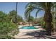 Backyard pool surrounded by landscaping and palm trees at 6101 E Beck Ln, Scottsdale, AZ 85254
