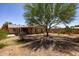 Expansive backyard with a large tree providing ample shade for outdoor activities at 1454 W Capri Ave, Mesa, AZ 85202