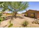 Desert landscaped backyard featuring mature plants and a covered patio, creating a serene retreat at 1454 W Capri Ave, Mesa, AZ 85202