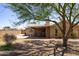 Large backyard with mature landscaping and a covered patio, perfect for outdoor living at 1454 W Capri Ave, Mesa, AZ 85202