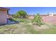 Backyard with grass and mature trees providing privacy and shade at 1911 N 42Nd Ave, Phoenix, AZ 85009