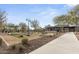 Outdoor community area featuring grilling, seating, and leisure game areas at 3704 E Haflinger Rd, San Tan Valley, AZ 85140