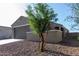 Beige home with a tree in the front yard at 3704 E Haflinger Rd, San Tan Valley, AZ 85140