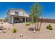 Large backyard with grass, desert landscaping, and patio at 40141 W James Ln, Maricopa, AZ 85138