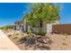 Landscaped front yard with a young tree, gravel, and desert plants creating a serene outdoor space at 40141 W James Ln, Maricopa, AZ 85138