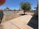 Spacious backyard with concrete patio, tree, and chain link fence, perfect for outdoor activities at 4154 W Morten Ave, Phoenix, AZ 85051