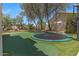 Backyard features artificial grass, tall trees, and a trampoline at 4402 E Barwick Dr, Cave Creek, AZ 85331