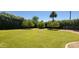 Expansive green backyard with mature trees and privacy landscaping at 9505 E Jenan Dr, Scottsdale, AZ 85260