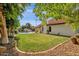 Expansive backyard with a well-maintained lawn, mature trees, and a pool, perfect for outdoor activities at 9821 E Windrose Dr, Scottsdale, AZ 85260