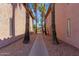 Walkway lined with gravel, mature palm trees, and tan buildings at 1075 E Chandler Blvd # 212, Chandler, AZ 85225