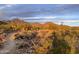 Desert landscape featuring local flora and mountain views at sunset at 14657 N 103Rd Way, Scottsdale, AZ 85255