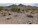 Expansive desert landscape featuring local flora and mountain views at 14657 N 103Rd Way, Scottsdale, AZ 85255
