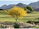 Scenic view of a golf course with a unique tree in the foreground and mountains in the background at 14657 N 103Rd Way, Scottsdale, AZ 85255