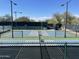 Community pickleball courts with nets at 14657 N 103Rd Way, Scottsdale, AZ 85255
