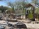 Community playground with green play structure and desert landscaping at 14657 N 103Rd Way, Scottsdale, AZ 85255
