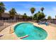 Community pool area surrounded by palm trees, metal fence, and blue lounge chairs at 1750 E Mateo Cir # 103, Mesa, AZ 85204