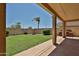 Expansive backyard with well-maintained lawn, palm tree, and covered patio at 21141 N 79Th Ave, Peoria, AZ 85382