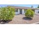 Quaint single-story home with lovely curb appeal and decorative plants in the front yard at 2337 E Contessa St, Mesa, AZ 85213