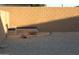 Backyard with a fire pit and built in seating with seat cushions at 3247 E Lark Ct, Gilbert, AZ 85297