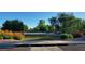Community park featuring a basketball court, grass, and trees providing a recreational area for residents at 3247 E Lark Ct, Gilbert, AZ 85297