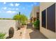 Beautiful backyard landscaping featuring desert plants and a pathway leading to the patio at 32826 N 54Th St, Cave Creek, AZ 85331