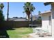 Green backyard with palm trees, patio furniture, and a trampoline at 4767 W Wahalla Ln, Glendale, AZ 85308
