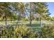 Scenic backyard view overlooking a lush park area with a white fence, mature trees, and flowering bushes at 4928 E Paradise Ln, Scottsdale, AZ 85254
