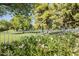 Backyard view showcasing community green space, a white fence, mature trees, and vibrant flowering bushes at 4928 E Paradise Ln, Scottsdale, AZ 85254