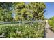 Backyard view overlooking community green space, featuring a white fence, mature trees, and flowering bushes at 4928 E Paradise Ln, Scottsdale, AZ 85254