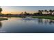 Serene pond view on a golf course featuring a water fountain and lush greenery with palm trees at 5024 S Citrus Ct, Gilbert, AZ 85298