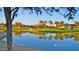 Picturesque pond view reflecting palm trees, the sky, and a golf course in a serene setting at 5024 S Citrus Ct, Gilbert, AZ 85298