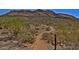Dirt hiking trail in desert landscape with mountain in background at 5607 W Alyssa Ln, Phoenix, AZ 85083
