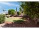 Landscaped backyard with lush green lawn, mature trees, rock accents, and a partial view of the pool at 6014 W Oberlin Way, Phoenix, AZ 85083