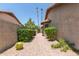 A narrow path lined with greenery leads to a charming backyard retreat at 6017 E Kathleen Rd, Scottsdale, AZ 85254