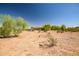 Expansive desert backyard with native trees and shrubs offering privacy and natural beauty around the property at 1032 E Dolores Rd, Phoenix, AZ 85086