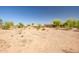 Large desert backyard with scattered trees and shrubs, providing a serene and natural environment for outdoor enjoyment at 1032 E Dolores Rd, Phoenix, AZ 85086