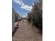 Exterior view of home and yard with desert landscaping at 11596 W Sierra Dawn Blvd # 372, Surprise, AZ 85378