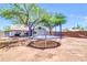 Wide open backyard with a trampoline and partial shade from a mature tree at 1858 S Ocotillo Dr, Apache Junction, AZ 85120